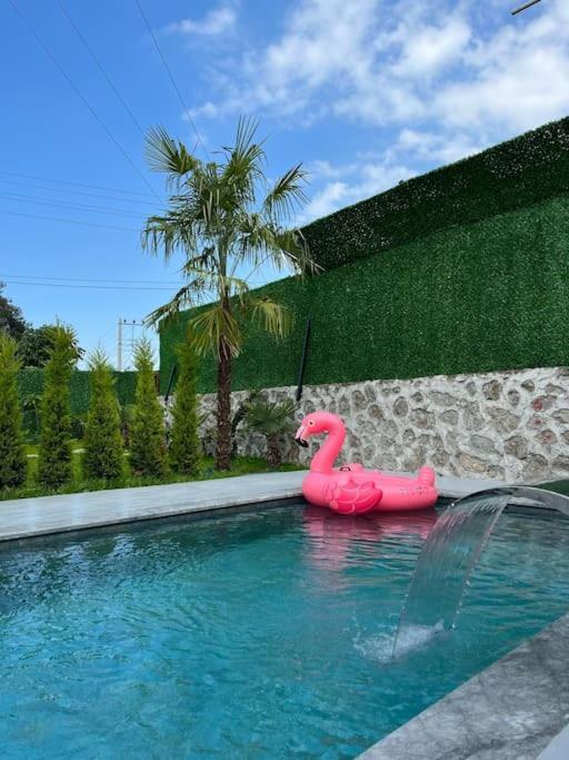 Shino Sapanca'Da Sicak Havuzlu Tatil Keyfi!别墅 外观 照片